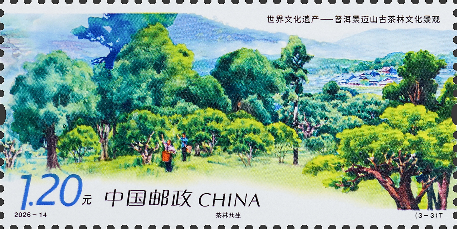 2026-14 (3-3)t 单枚.jpg